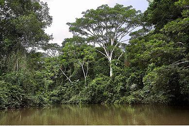 动视暴雪员工对收购完成表示兴奋：终于换老板了